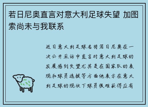 若日尼奥直言对意大利足球失望 加图索尚未与我联系