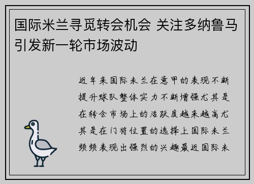 国际米兰寻觅转会机会 关注多纳鲁马引发新一轮市场波动