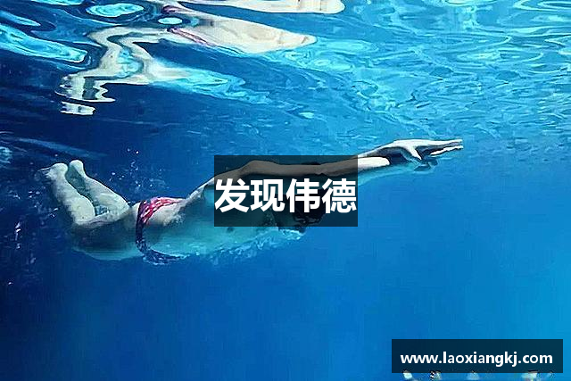 发现伟德